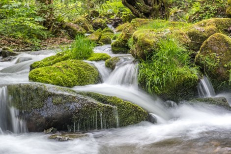 The river running parallel to Route 329 on my way to Ouchi-juku