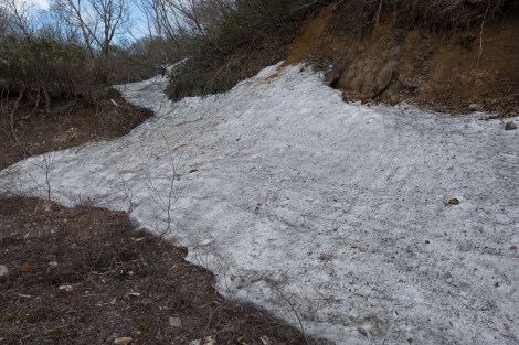 There's still snow up here!