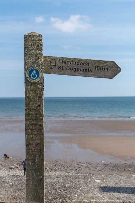 186 miles to St. Dogmaels