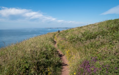 It's a gorgeous day, if not a little hot, to be walking the Pembrokeshire Coast Path!