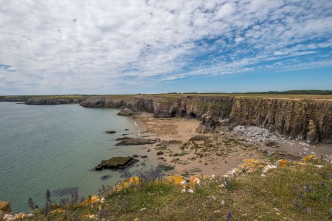 Pembrokeshire Coast Path