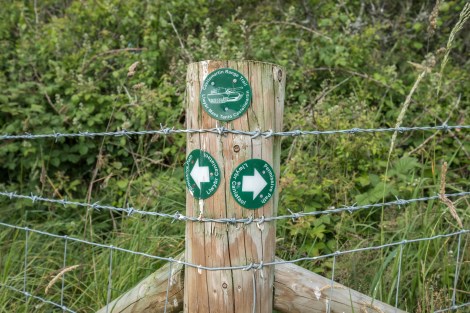 Taking the 'Castlemartin range trail' detour