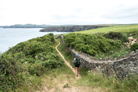 Following an old wall along the Pembrokeshire Coast Path