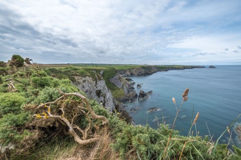 Sea views on the Pembrokeshire Coast Path