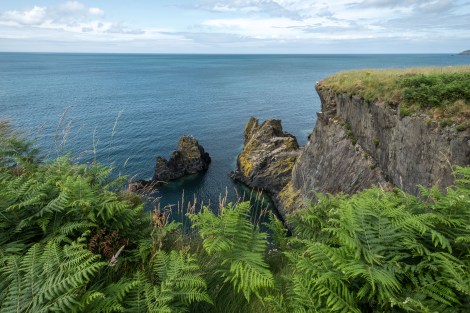 Pembrokeshire Coast Path