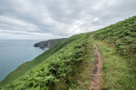 Great trails on the Pembrokeshire Coast Path