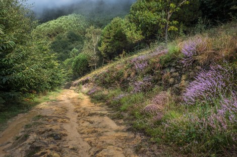 Heather and a muddy track on the low-level variant after Santuario de Gaudelupe