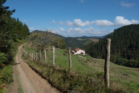 Basque countryside views