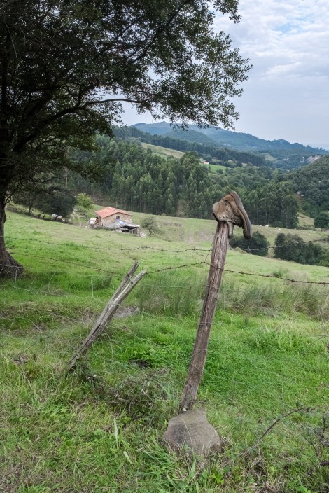 A forgotten boot on the Camino del Norte