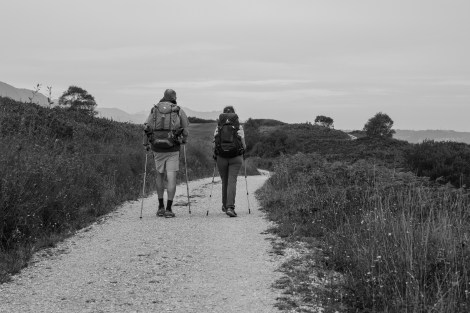 Pilgrims on the Camino del Norte