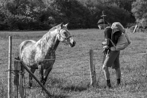 A pilgrim and a horse on the Camino del Norte