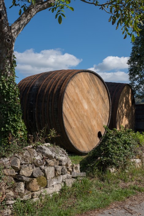 Sidra barrels