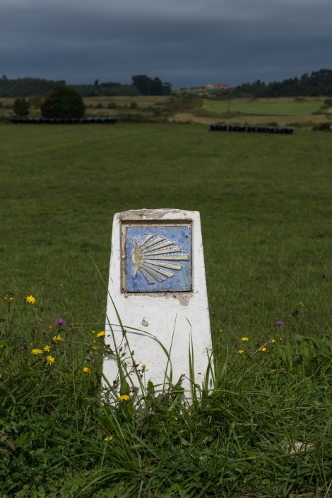 Camino waymark