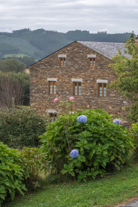 Hydrangeas, roses and a beautiful Galician farmhouse