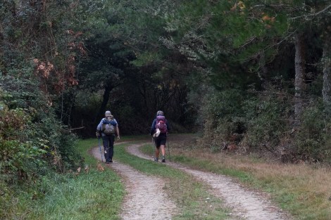 Pilgrims walking along the Camino del Norte