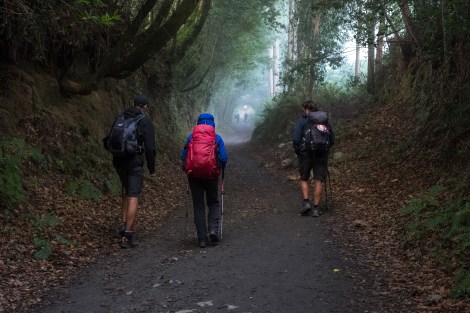 We're now on the Camino Frances and are one of many pilgrims walking the last stage to Santiago