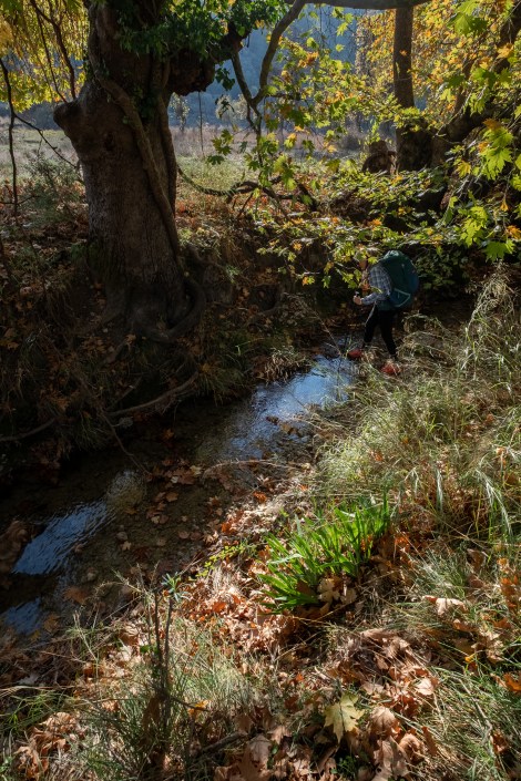 This stream crossing was unexpected
