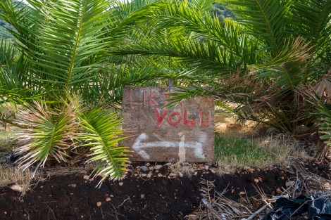 It took us a little while to find this sign... it was playing hide and seek