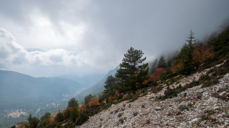 Can we make it to the rendezvous point before the rain?