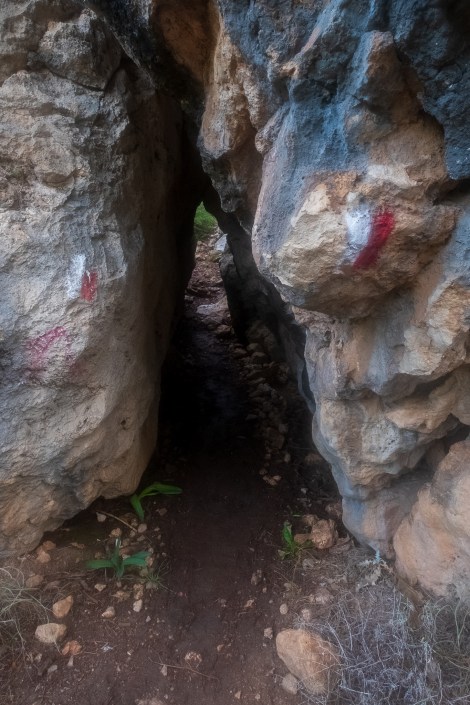 Maybe I shouldn't have eaten so many chip sandwiches!