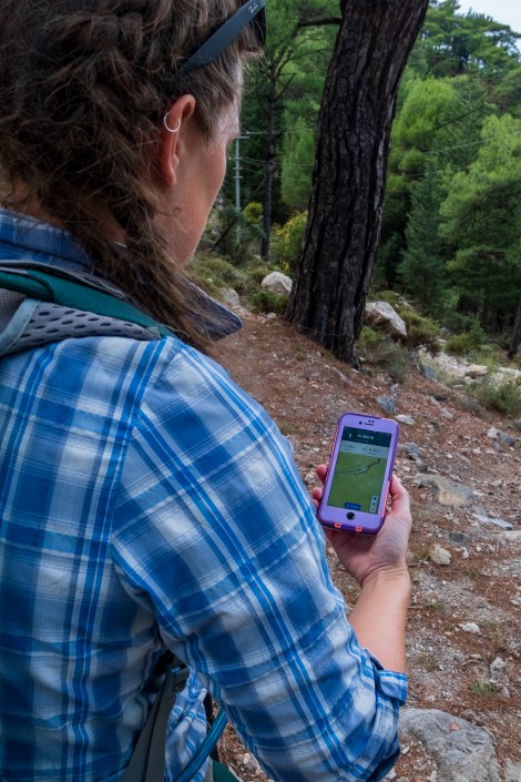 Checking we're still on track with Komoot