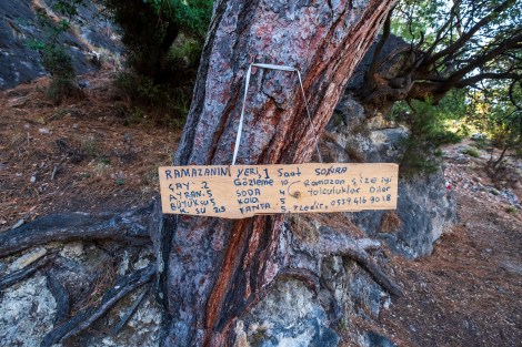 If only this café was open!