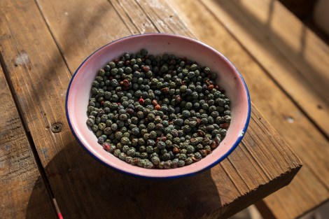 A peppercorn snack on the Lycian Way